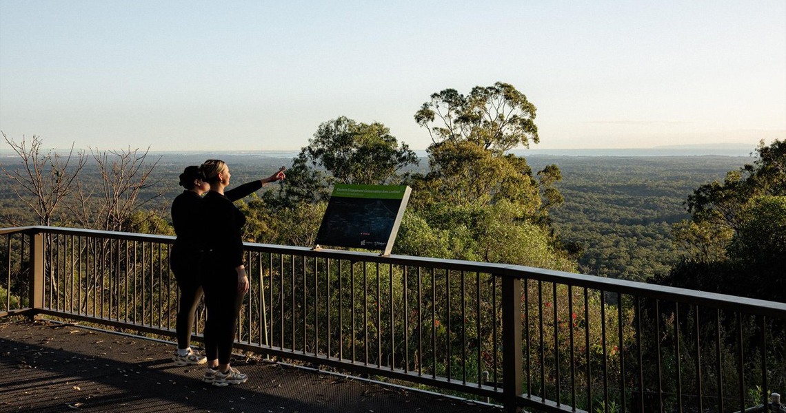 Mount-Cotton-Lookout.jpg