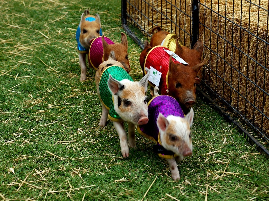 MainImage.jpg