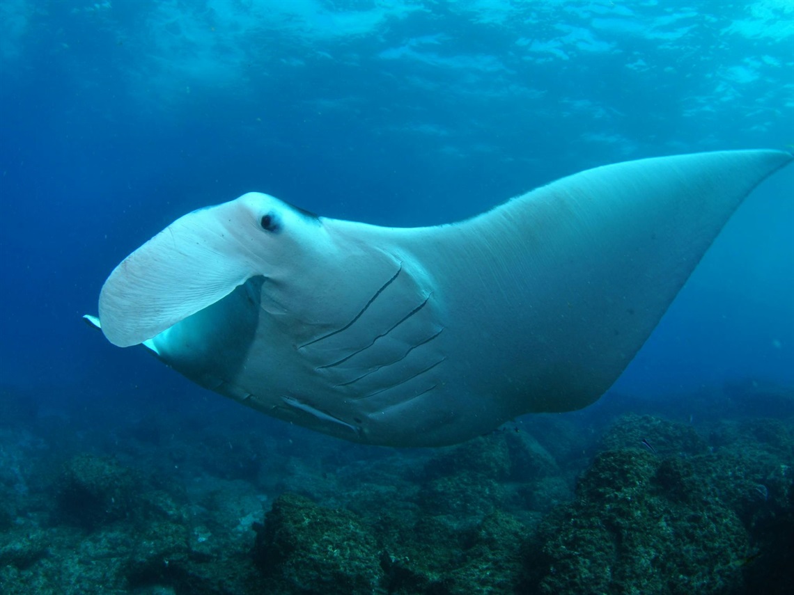 MainImage.jpg