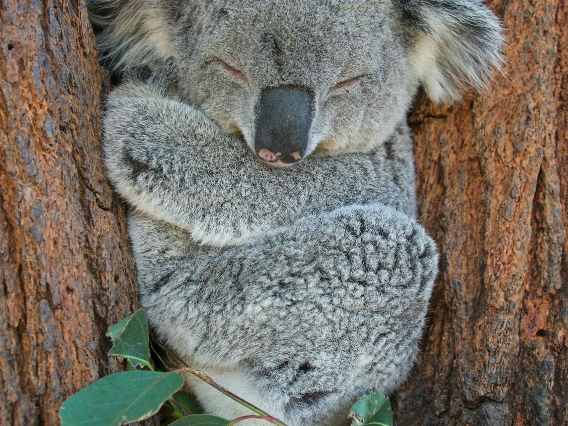 MainImage.jpg