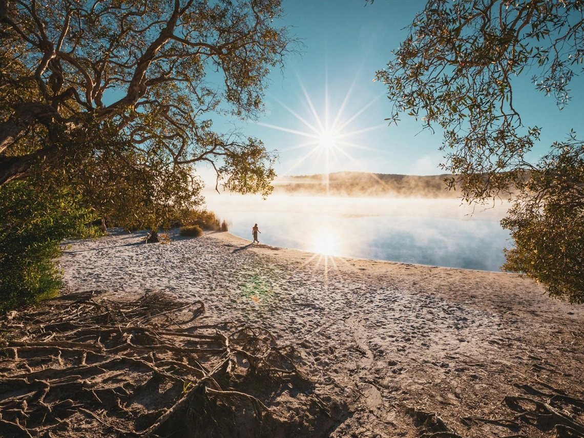 MainImage.jpg