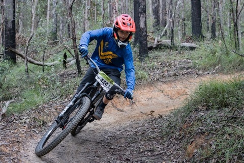 Picture4.jpg